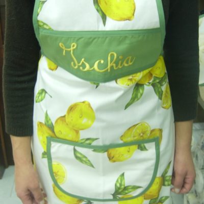 Apron tourist resort with embroidery paired with print